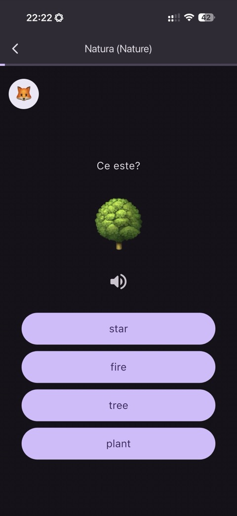 Exercițiu: alege cuvântul potrivit pentru imagine